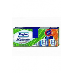 REGINA CHUSTECZKI SOFT &...